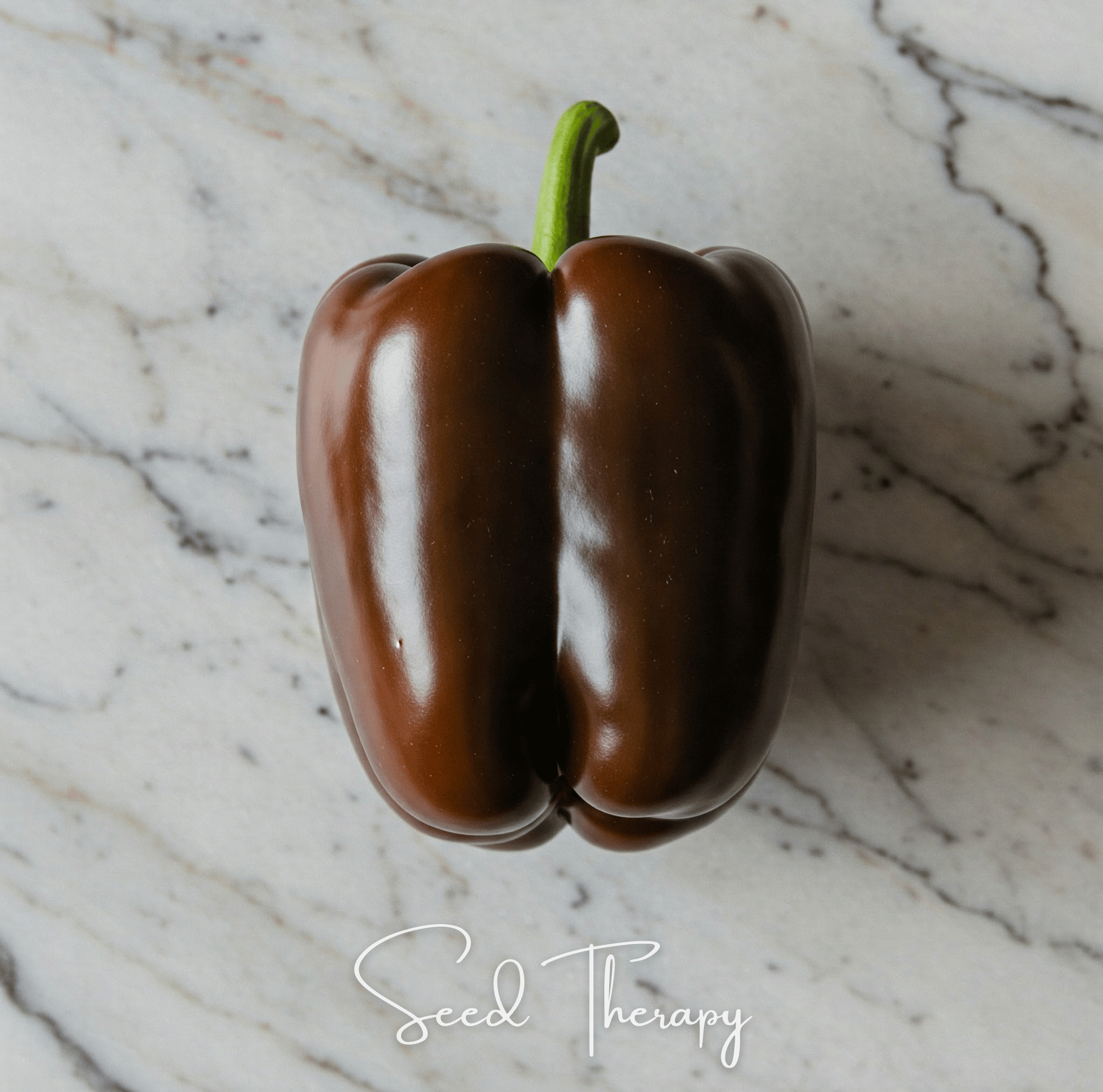 Chocolate Beauty Bell Pepper – 30 Seeds | Seeds | Wiccan Center
