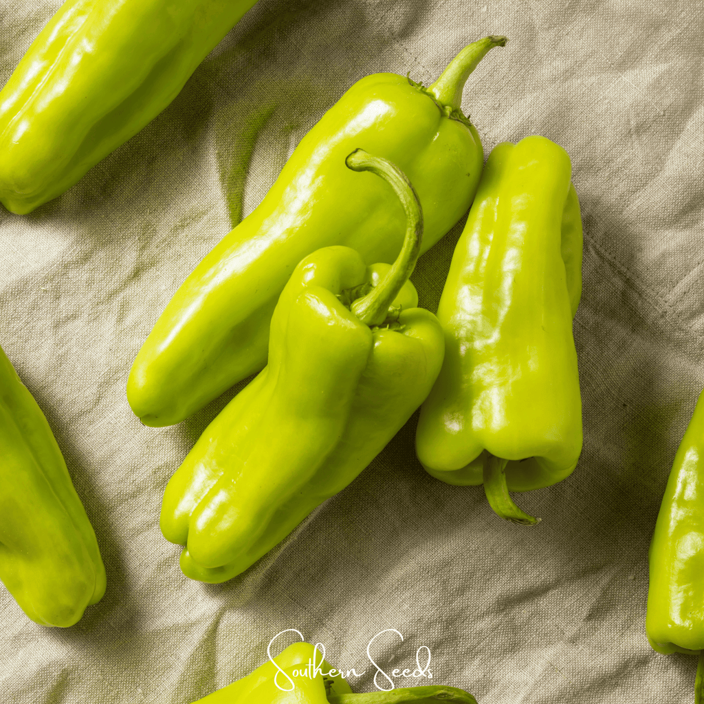 Cubanelle Sweet Pepper – 25 Seeds | Seeds | Wiccan Center