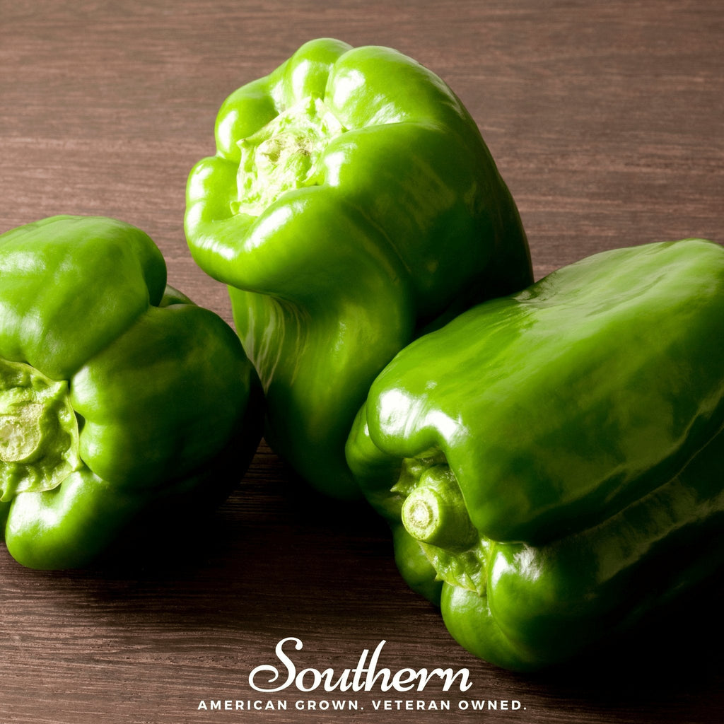 Emerald Giant Sweet Bell Pepper – 30 Seeds | | Wiccan Center
