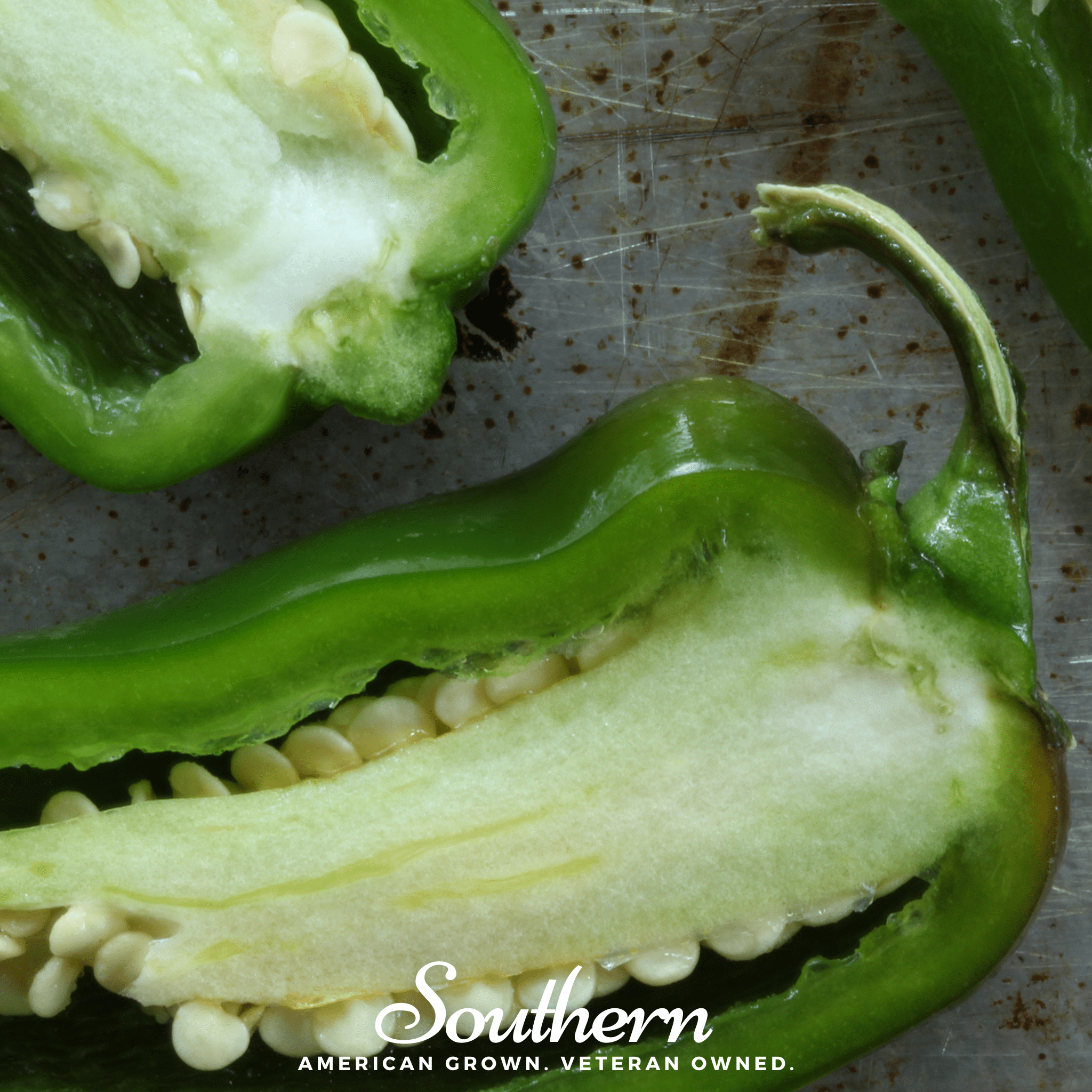 Jalapeño Early Pepper – 25 Seeds | Seeds | Wiccan Center