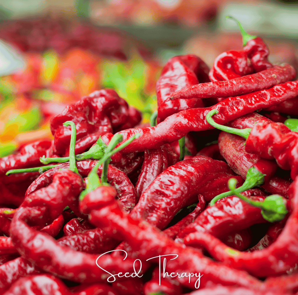 Jimmy Nardello's Pepper – 25 Seeds | Seeds | Wiccan Center