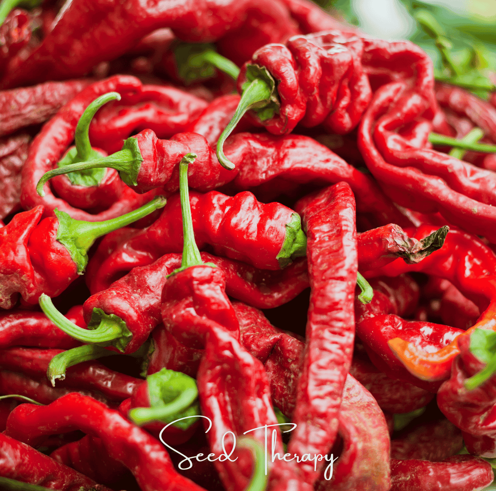 Jimmy Nardello's Pepper – 25 Seeds | Seeds | Wiccan Center