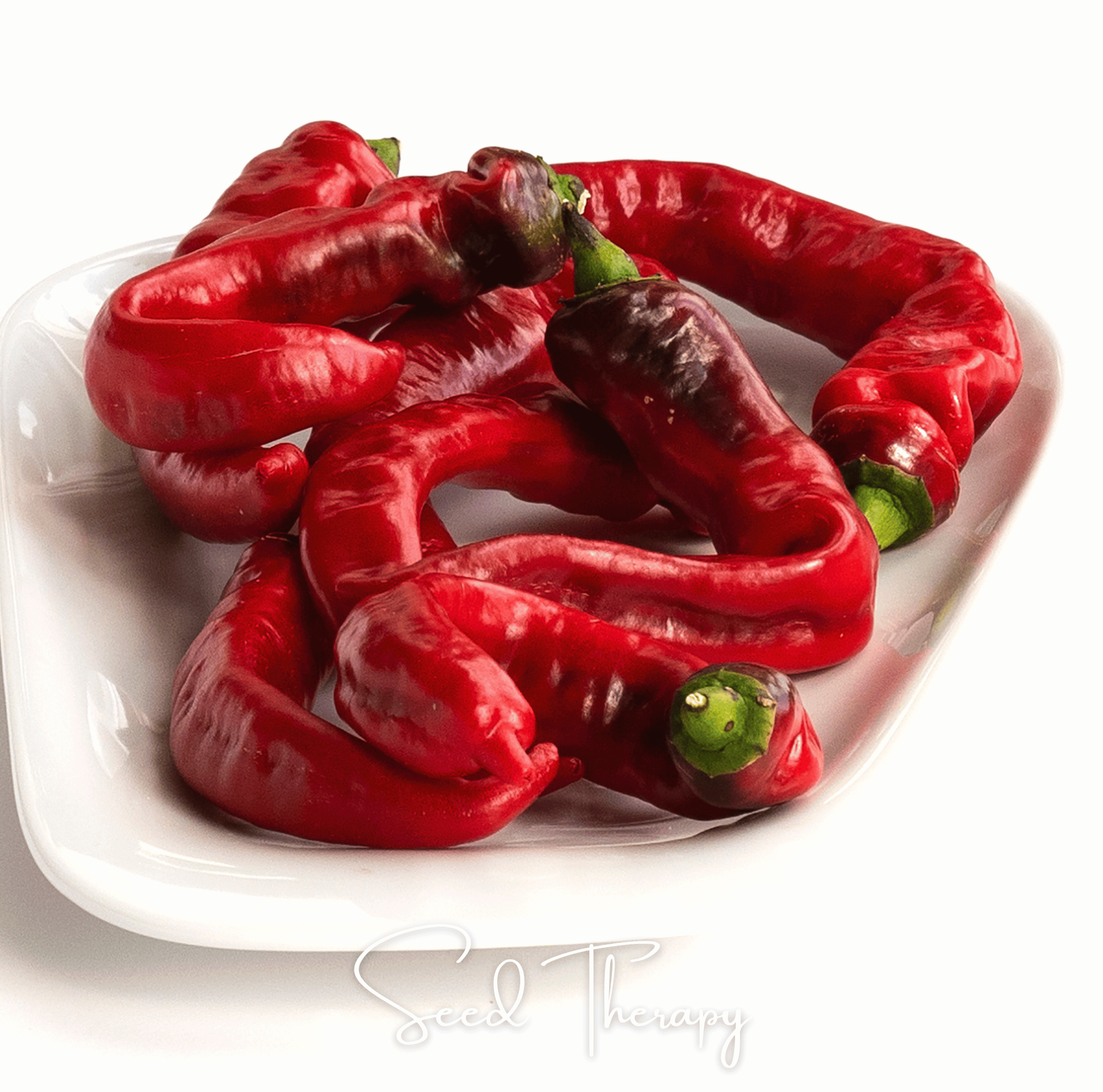 Jimmy Nardello's Pepper – 25 Seeds | Seeds | Wiccan Center