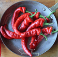 Jimmy Nardello's Pepper – 25 Seeds | Seeds | Wiccan Center