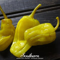 Pepperoncini Pepper – 25 Seeds | | Wiccan Center