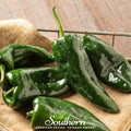 Poblano Ancho Grande Pepper – 25 Seeds | | Wiccan Center