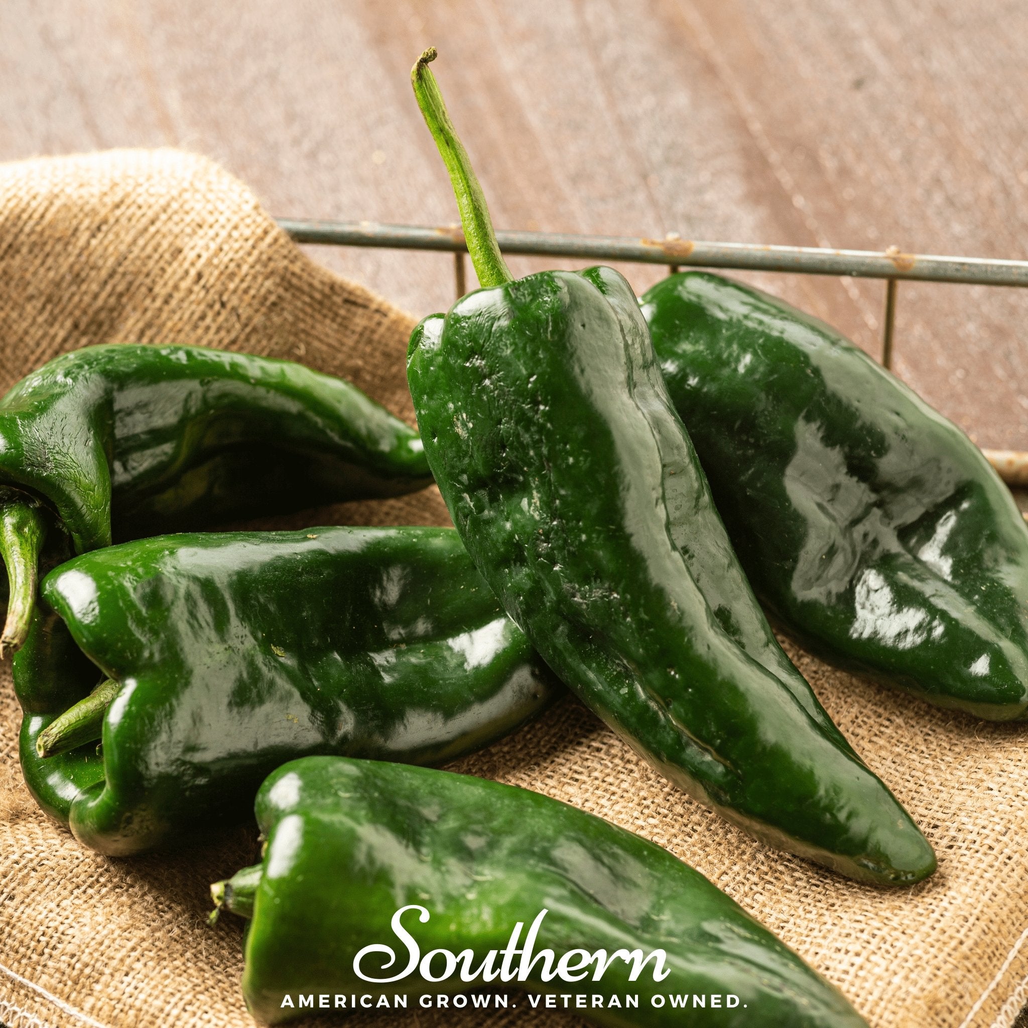 Poblano Ancho Grande Pepper – 25 Seeds | | Wiccan Center