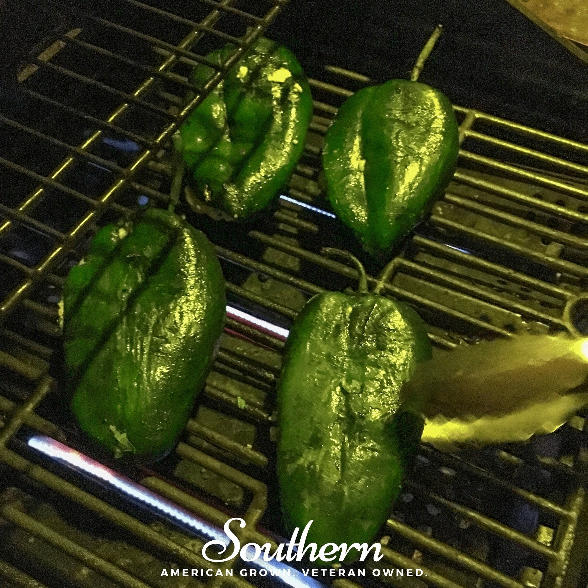 Poblano Ancho Grande Pepper – 25 Seeds | | Wiccan Center