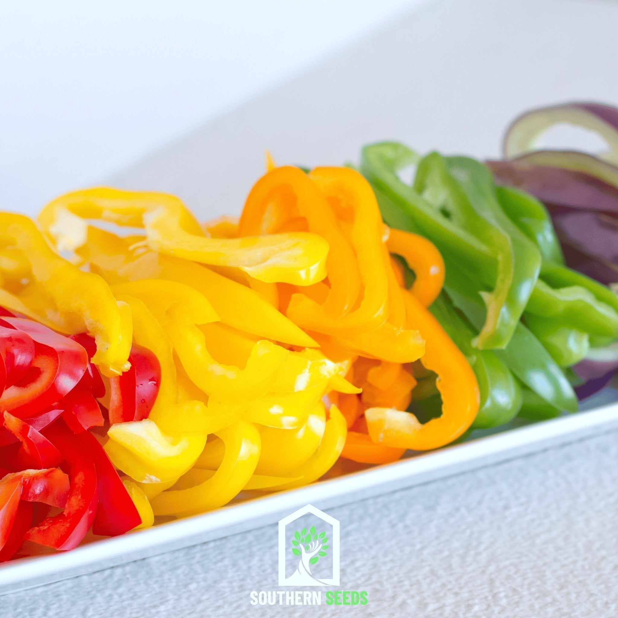 Rainbow Bell Sweet Pepper – 25 Seeds | Seeds | Wiccan Center