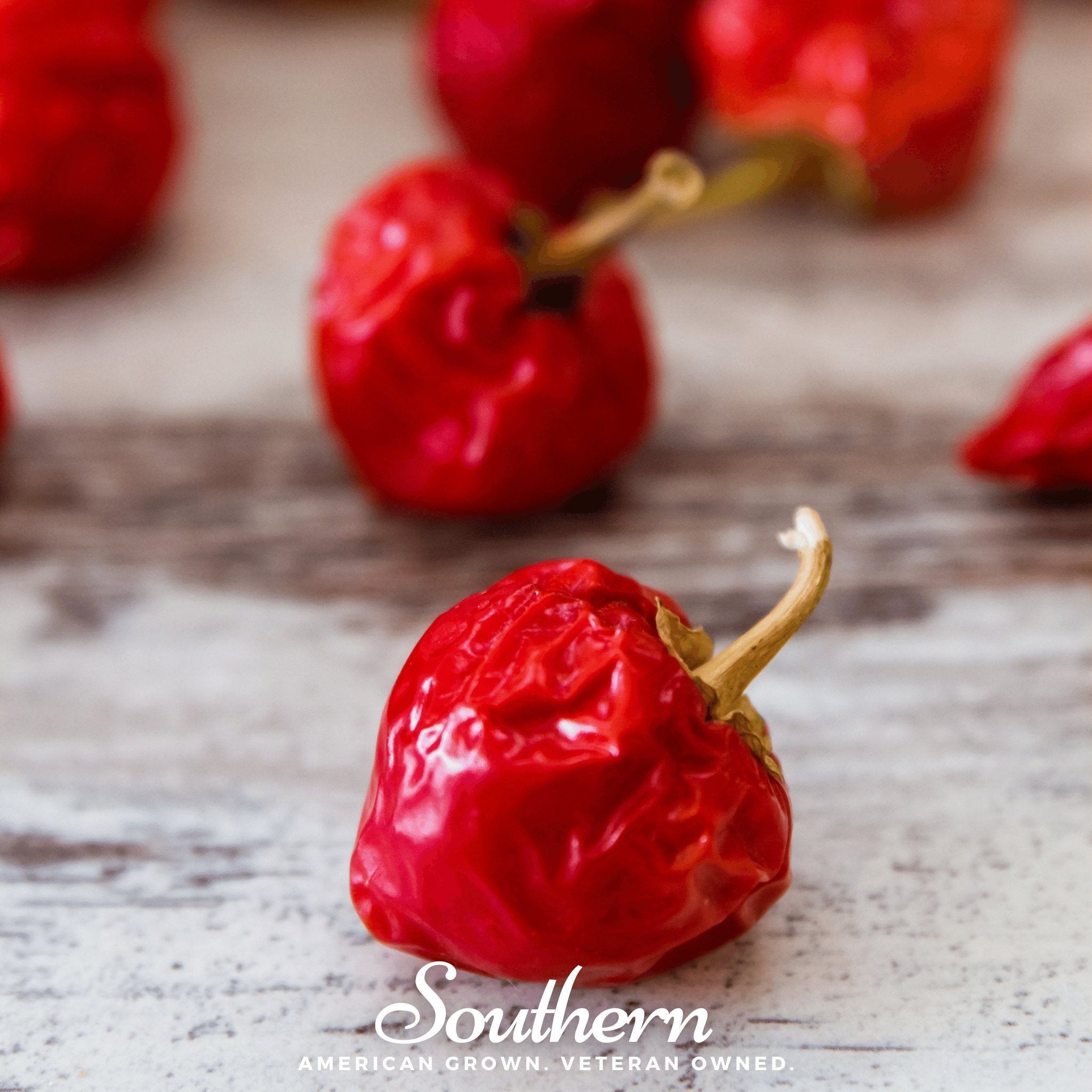 Red Hot Cherry Pepper – 25 Seeds | | Wiccan Center