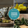 Pepper Seed Collection – 6 Essential Heirloom Peppers | Seeds | Wiccan Center