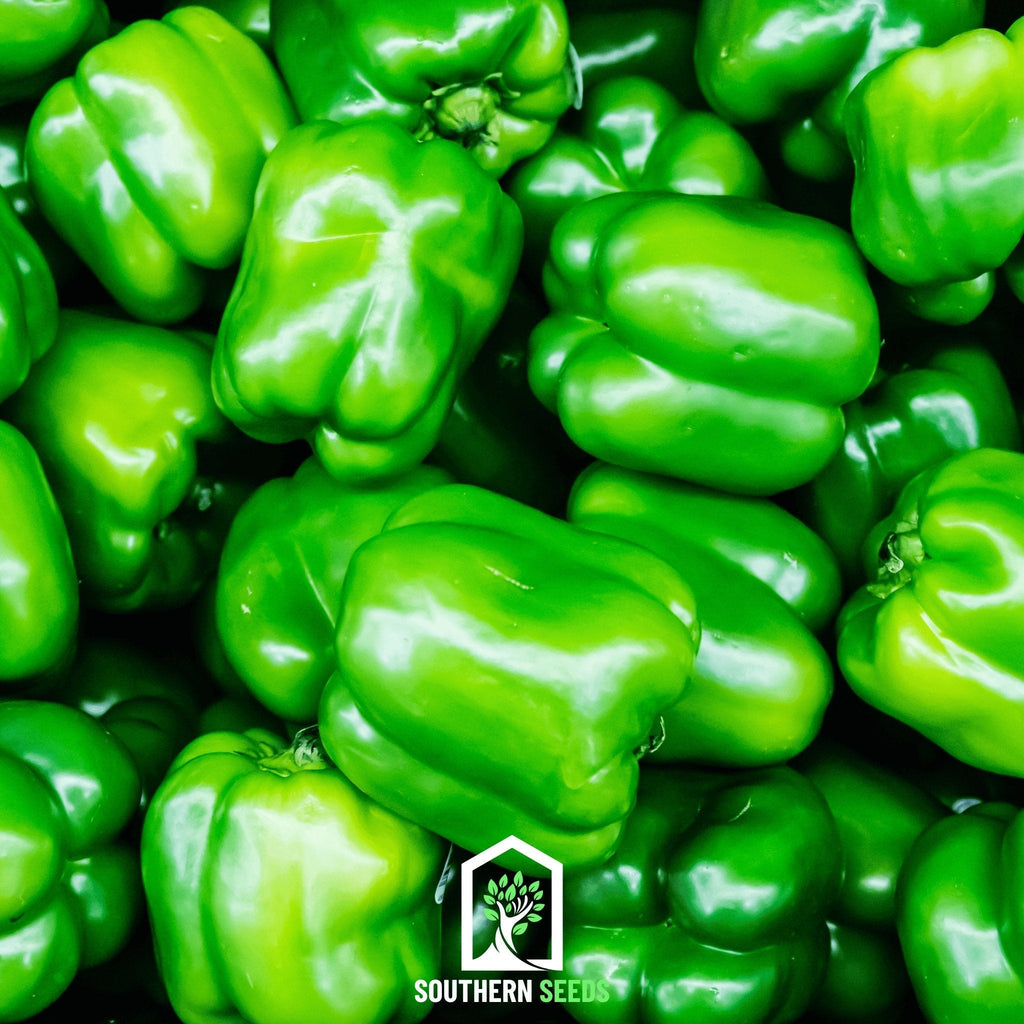 Pepper Seed Collection – 6 Essential Heirloom Peppers | Seeds | Wiccan Center