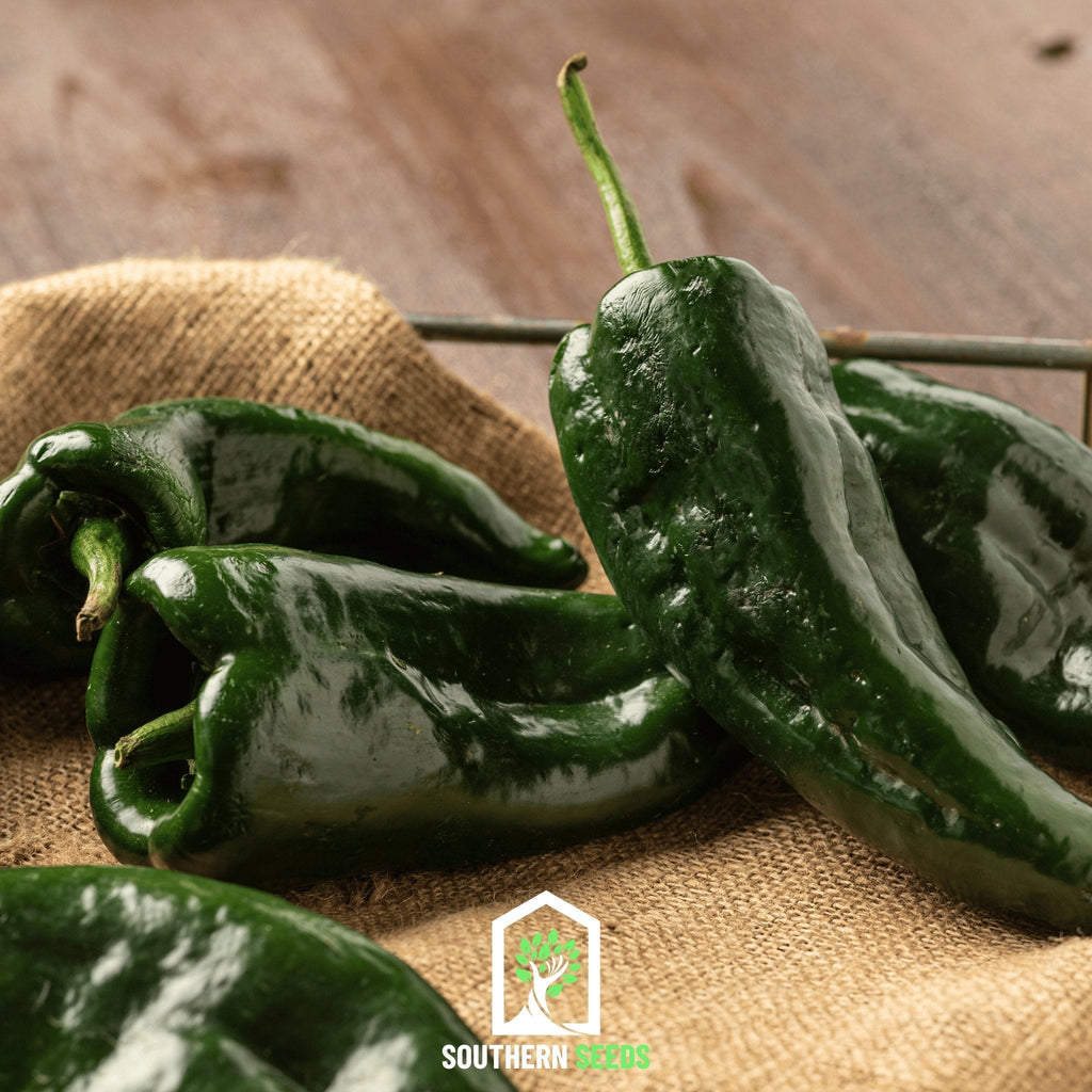 Pepper Seed Collection – 6 Essential Heirloom Peppers | Seeds | Wiccan Center