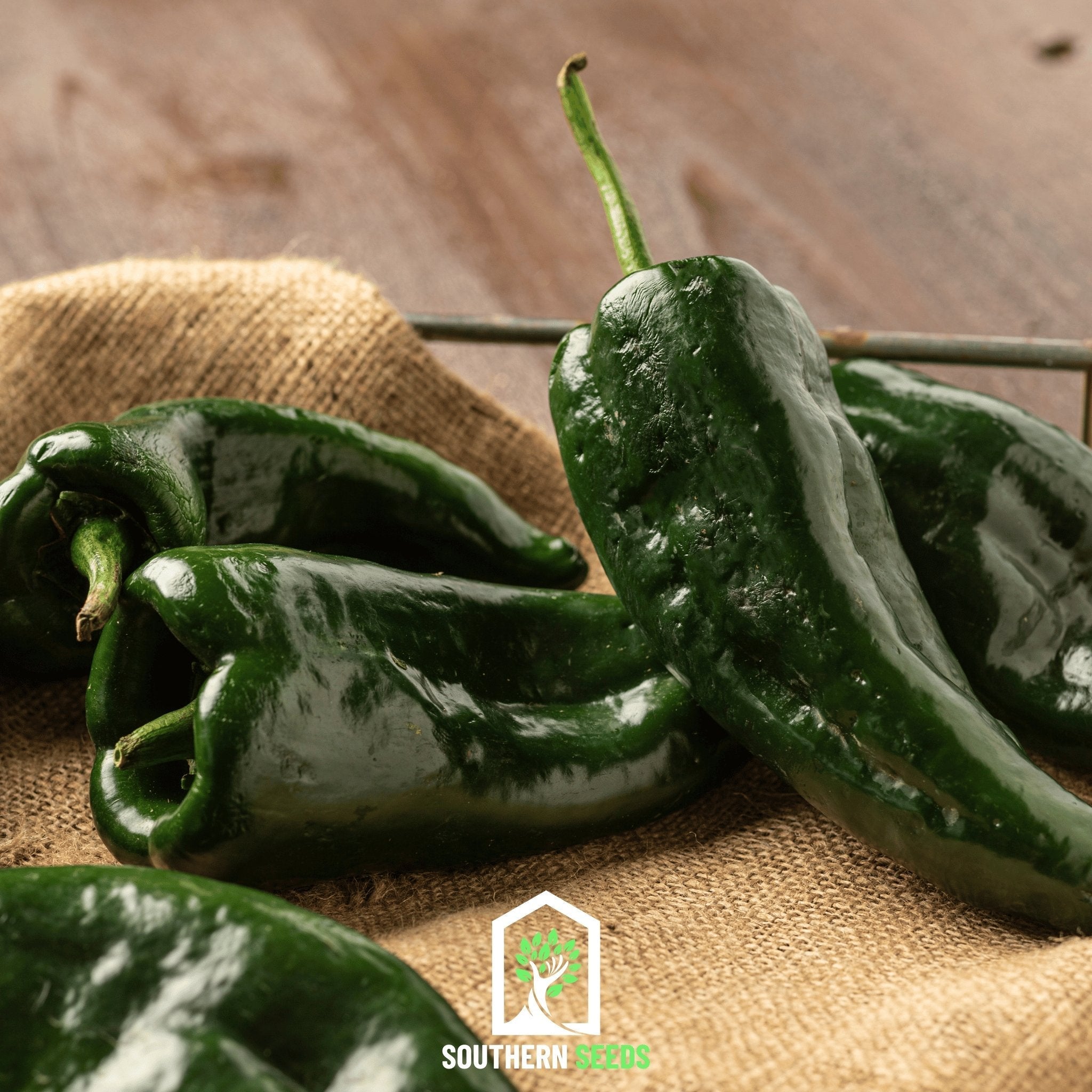 Pepper Seed Collection – 6 Essential Heirloom Peppers | Seeds | Wiccan Center