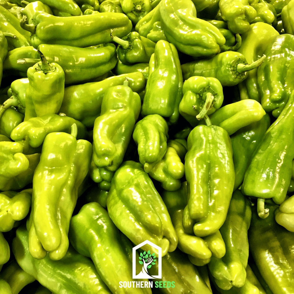 Pepper Seed Collection – 6 Essential Heirloom Peppers | Seeds | Wiccan Center