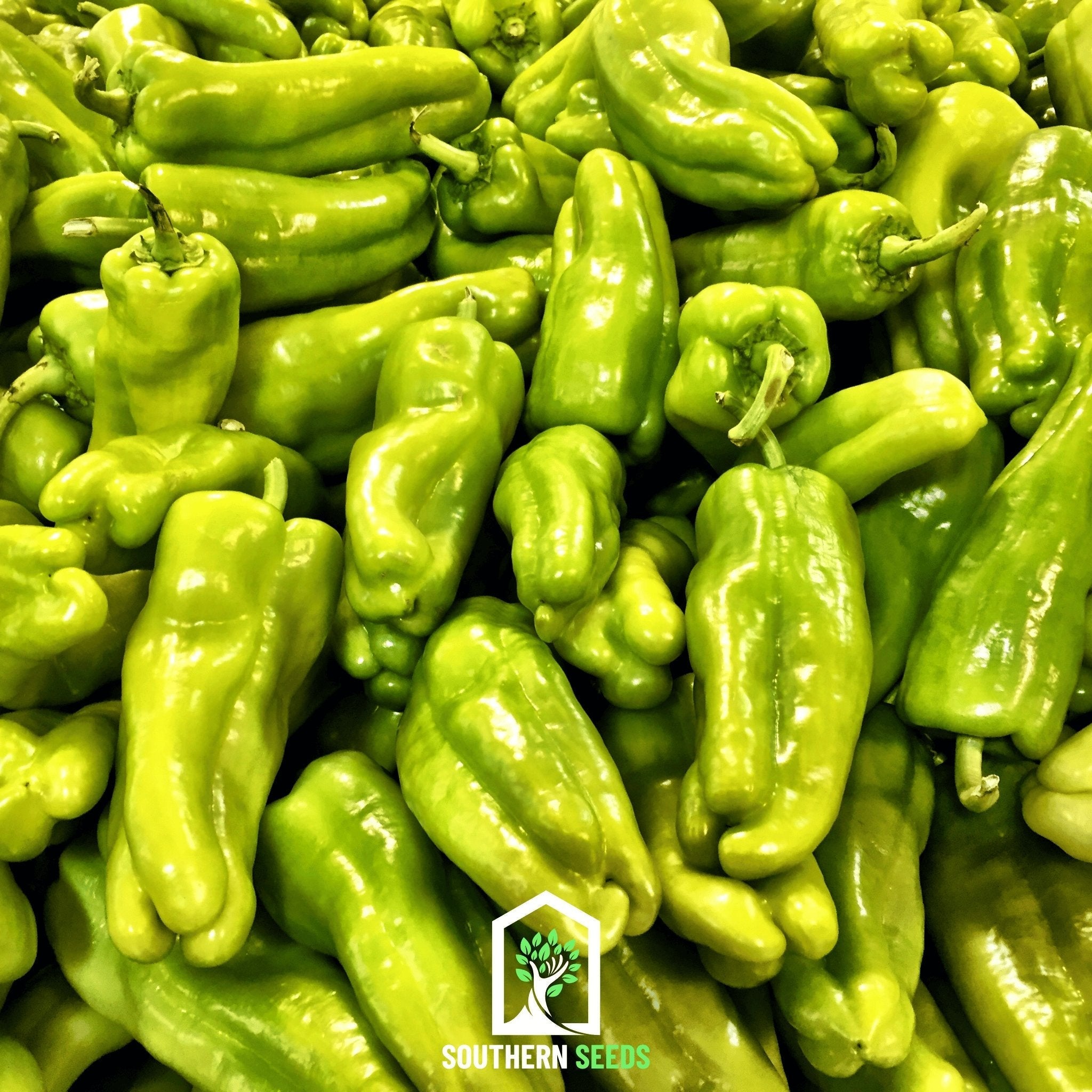 Pepper Seed Collection – 6 Essential Heirloom Peppers | Seeds | Wiccan Center