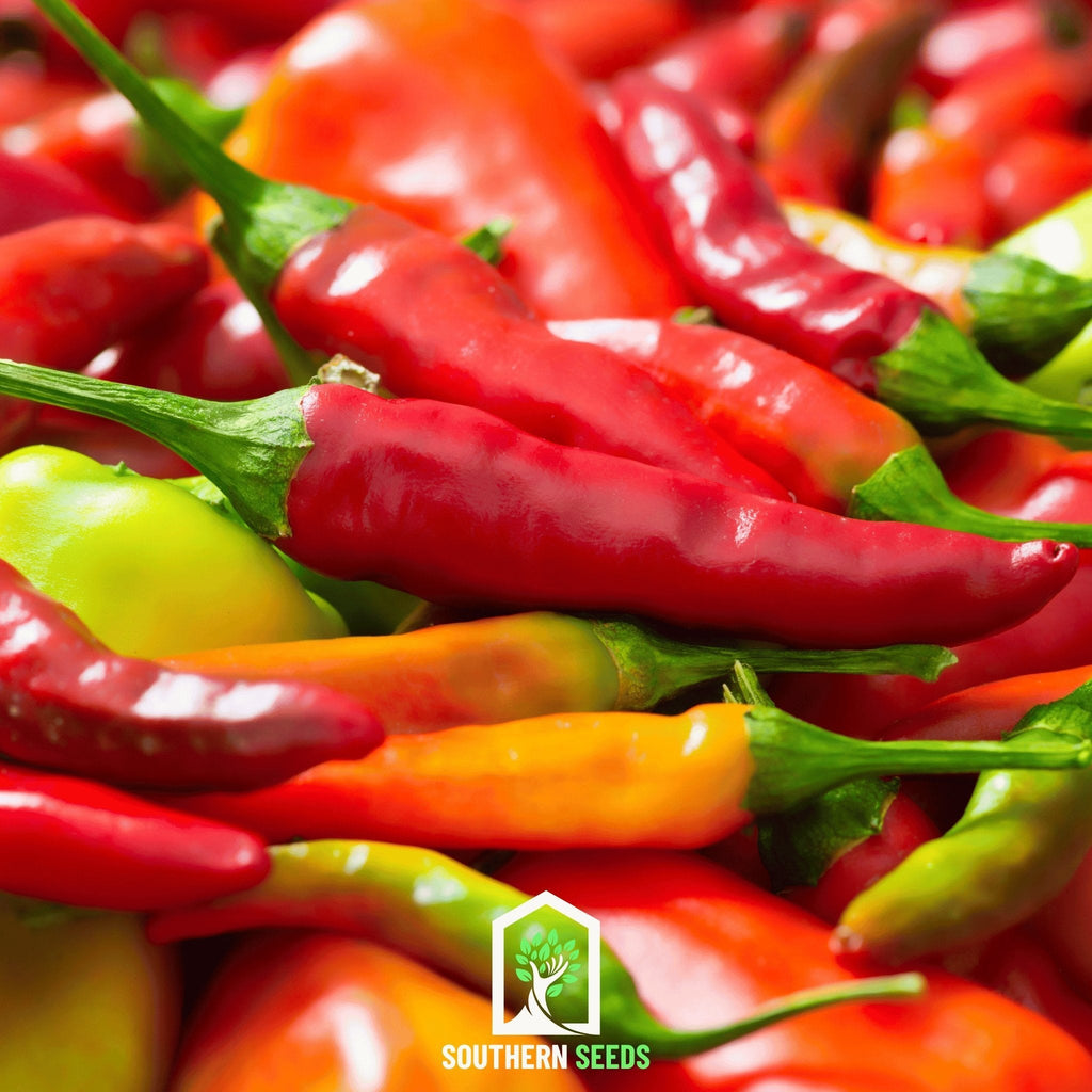 Pepper Seed Collection – 6 Essential Heirloom Peppers | Seeds | Wiccan Center