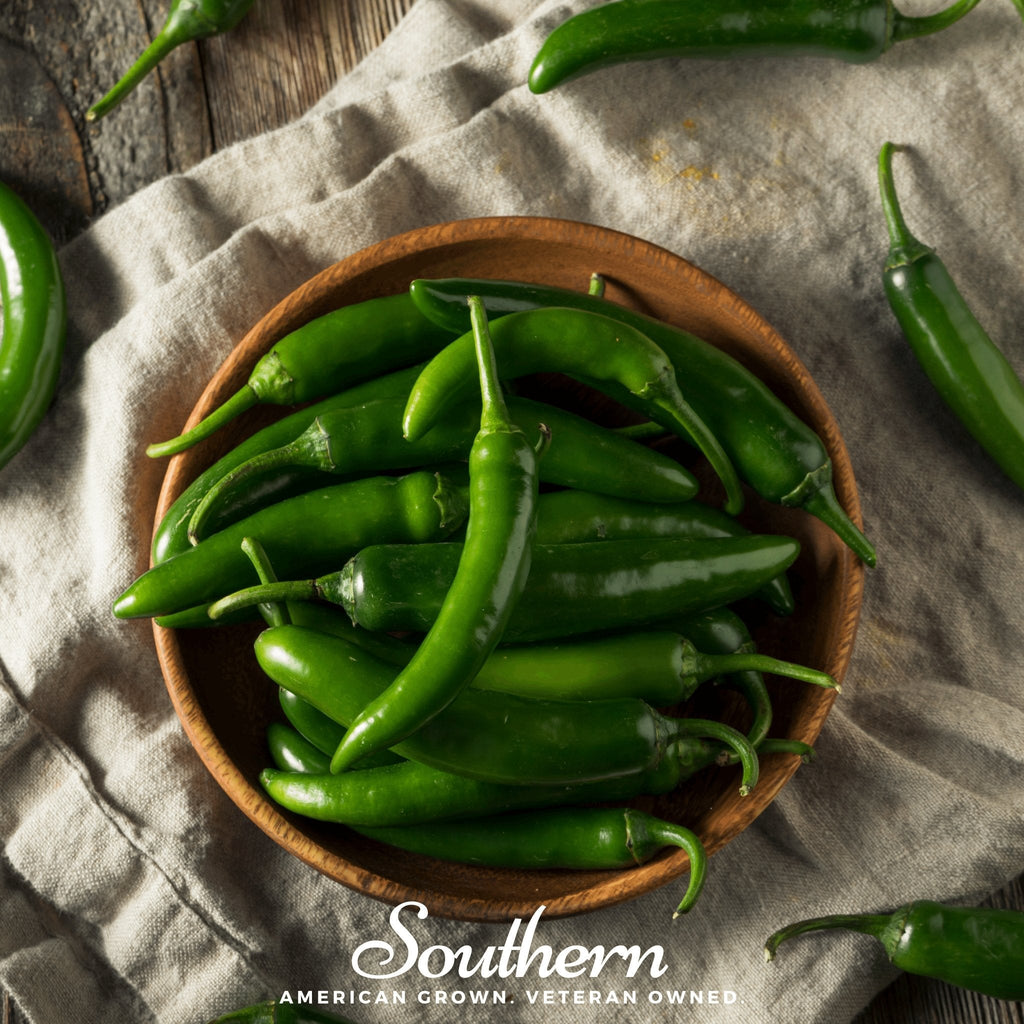 Serrano Pepper – 25 Seeds | | Wiccan Center