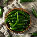 Serrano Pepper – 25 Seeds | | Wiccan Center