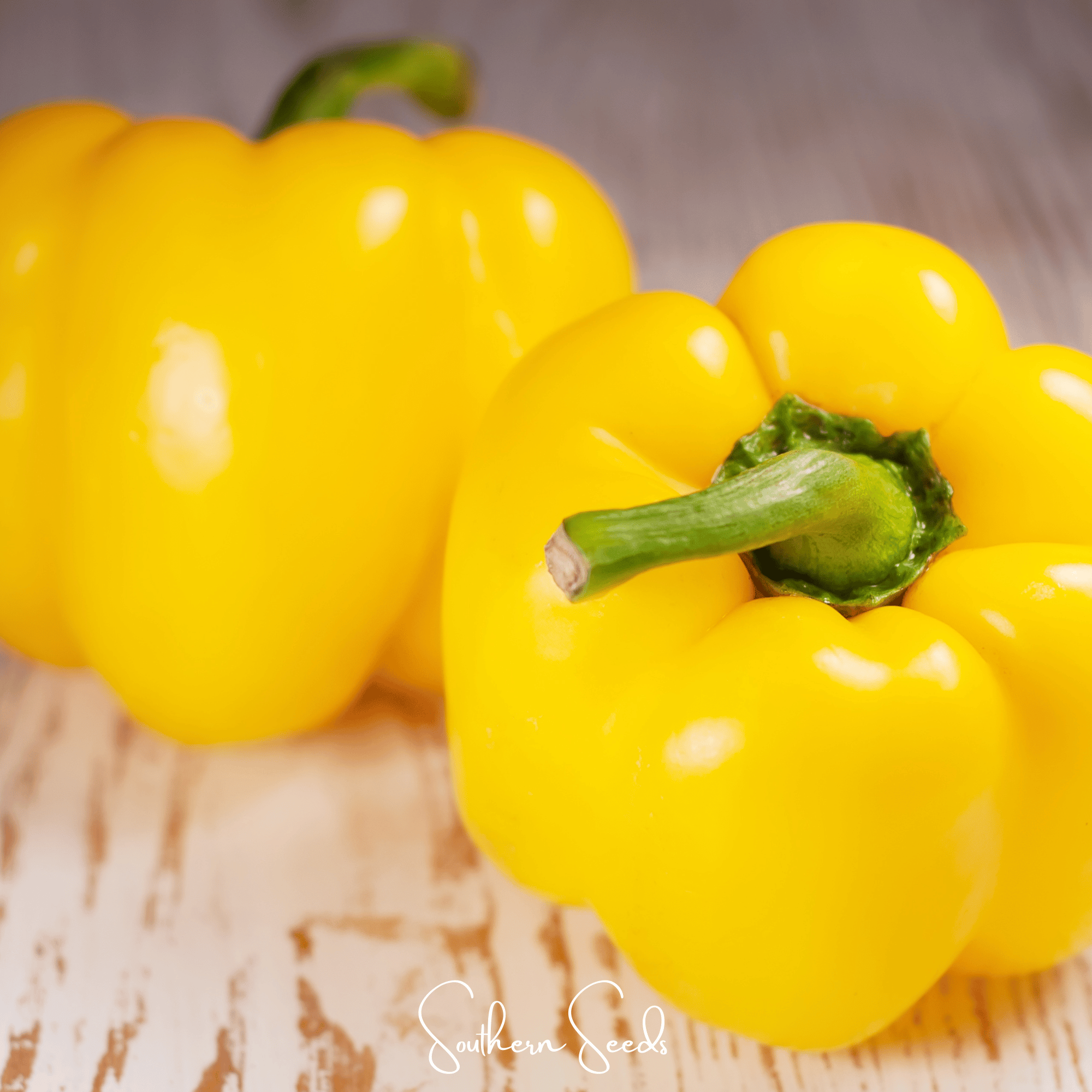 Sunbright Bell Pepper – 30 Seeds | Seeds | Wiccan Center
