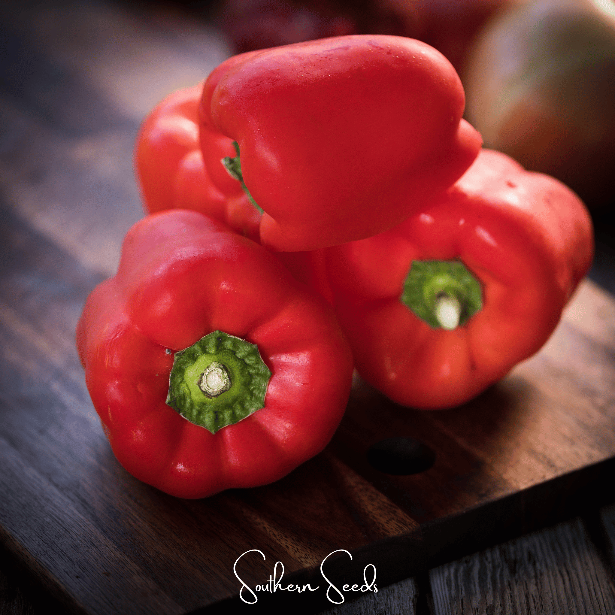Yolo Wonder Bell Pepper – 30 Seeds | Seeds | Wiccan Center