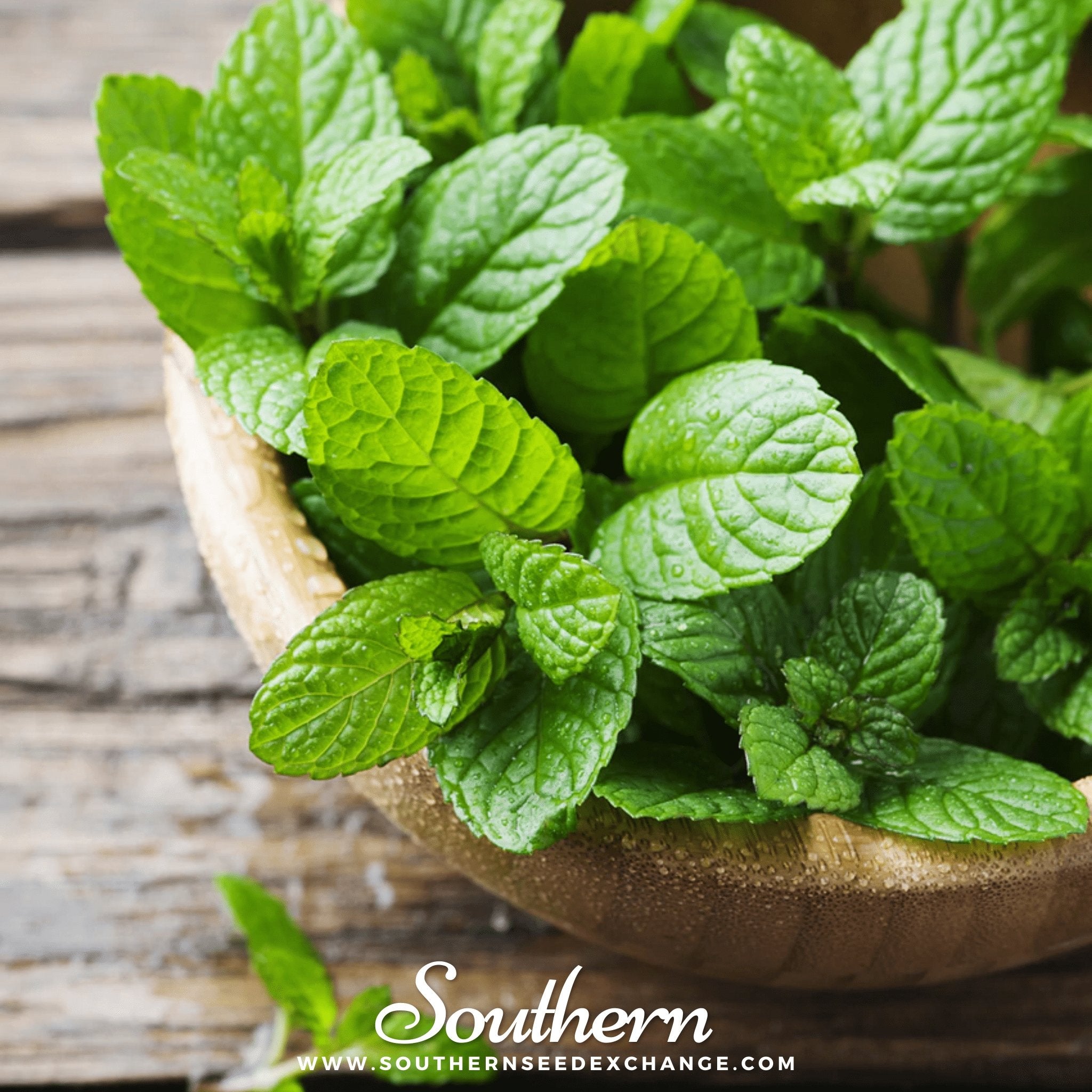 Peppermint – 100 Seeds | | Wiccan Center