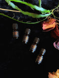 Persephone: Intentional Essential Oil Blend - For Diffusers, Anointing, & Spellwork | Essential Oil | Wiccan Center