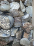 Peruvian Blue Opal Tumbled Stone | Tumbled Stones | Wiccan Center