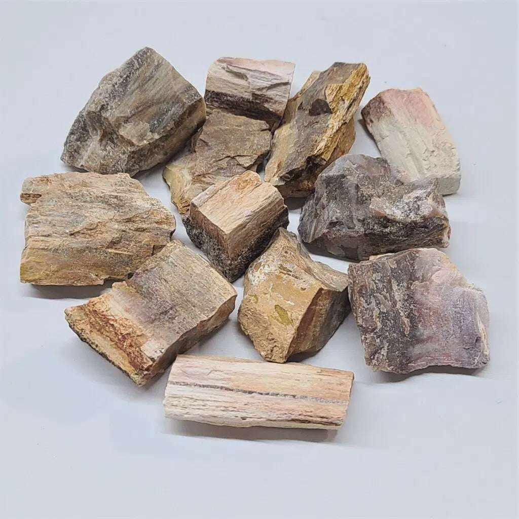 Petrified Wood Rough | Rough Stones | Wiccan Center