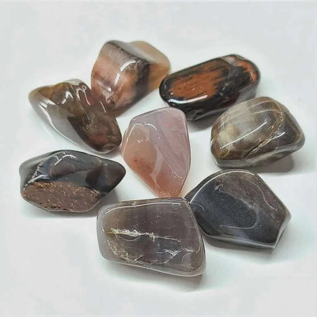 Petrified Wood Tumbled Stone | Tumbled Stones | Wiccan Center