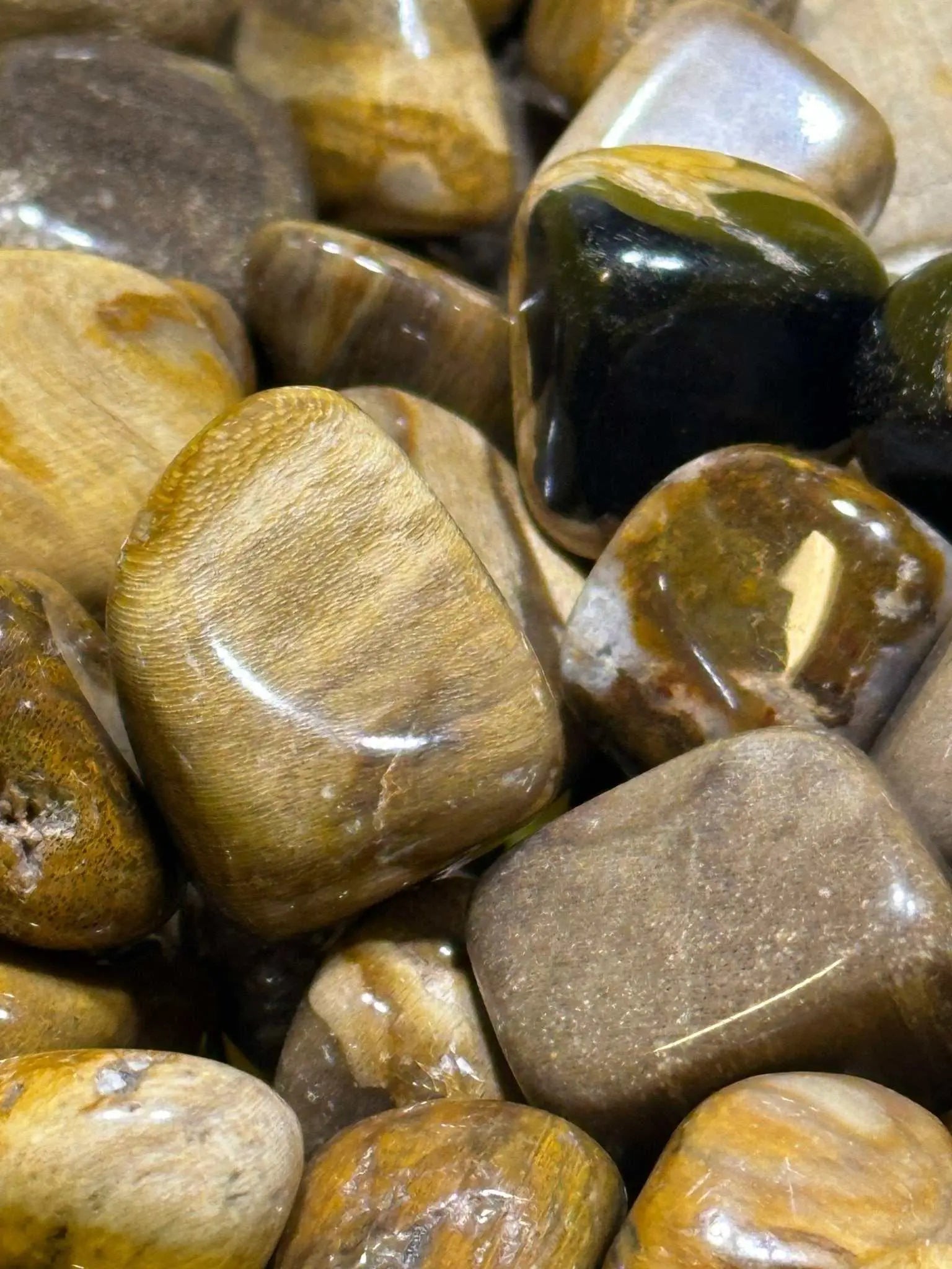 Petrified Wood Tumbled Stone | Tumbled Stones | Wiccan Center