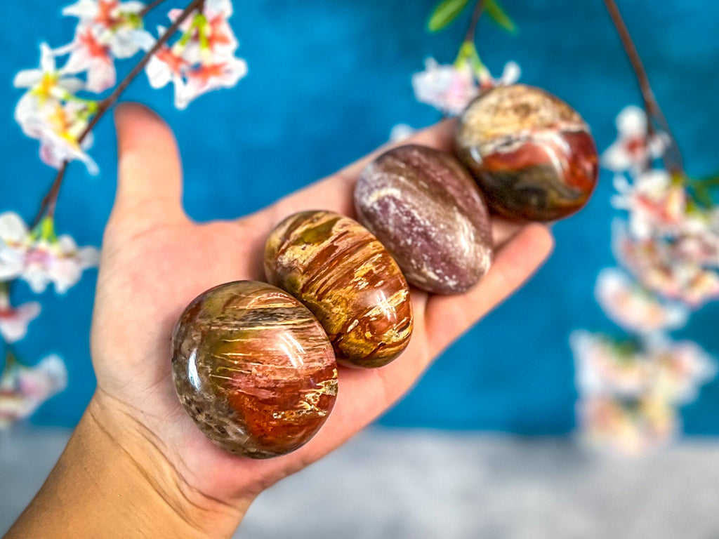 Petrified Wood Palm Stone | | Wiccan Center