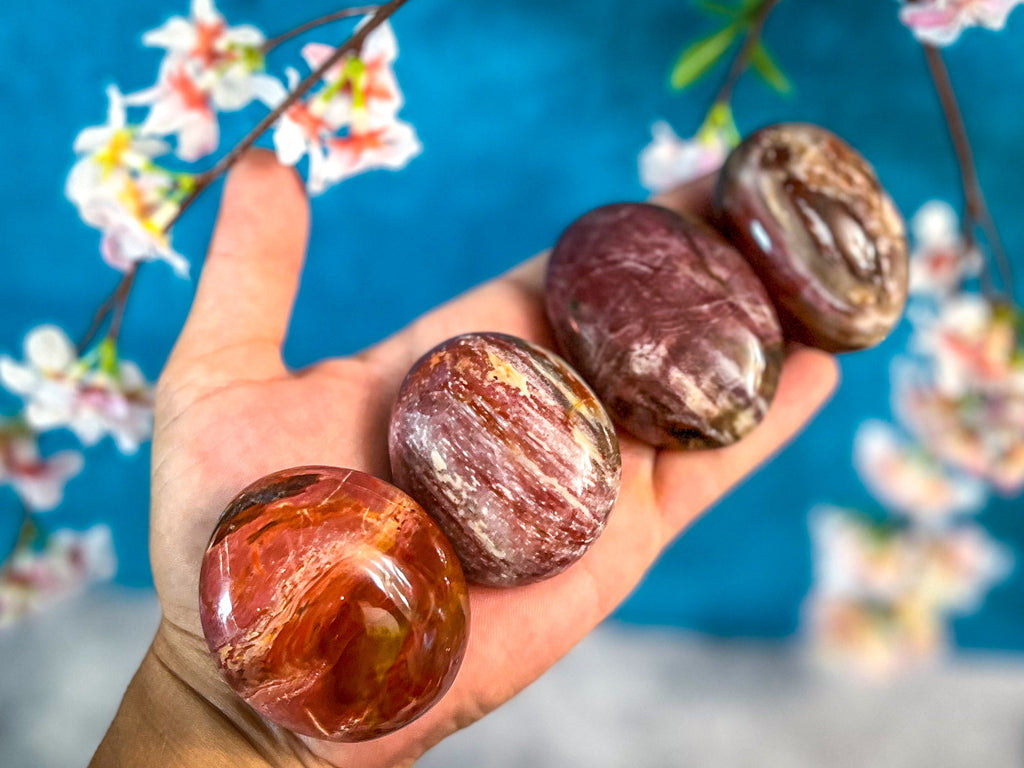 Petrified Wood Palm Stone | | Wiccan Center