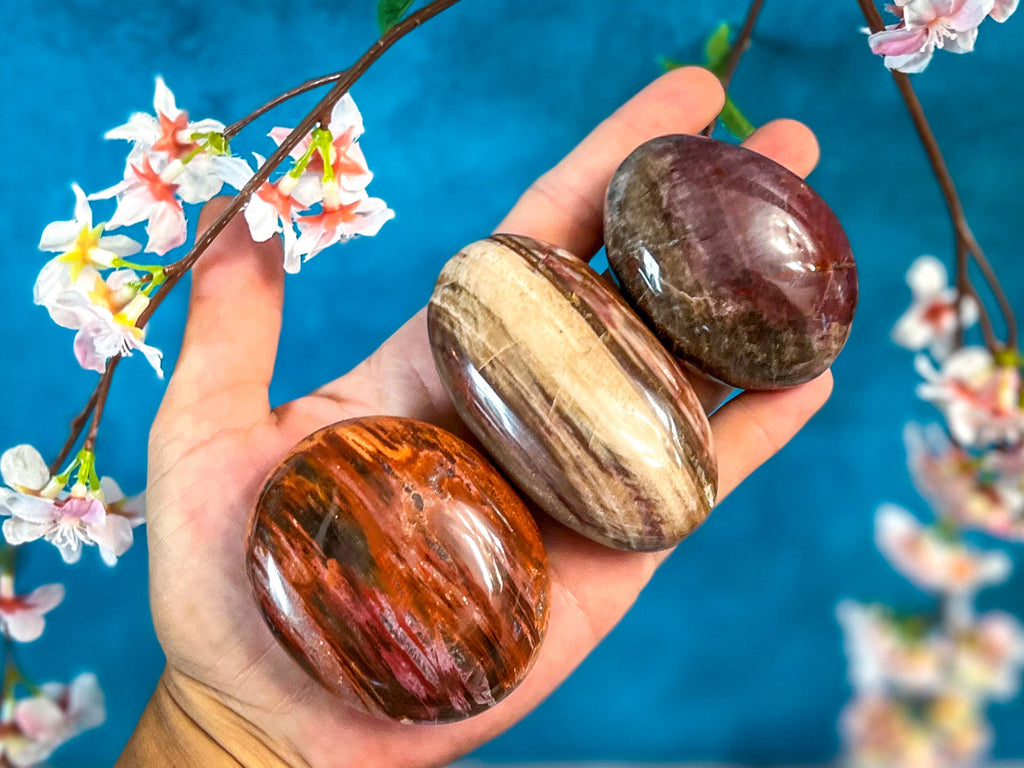Petrified Wood Palm Stone | | Wiccan Center