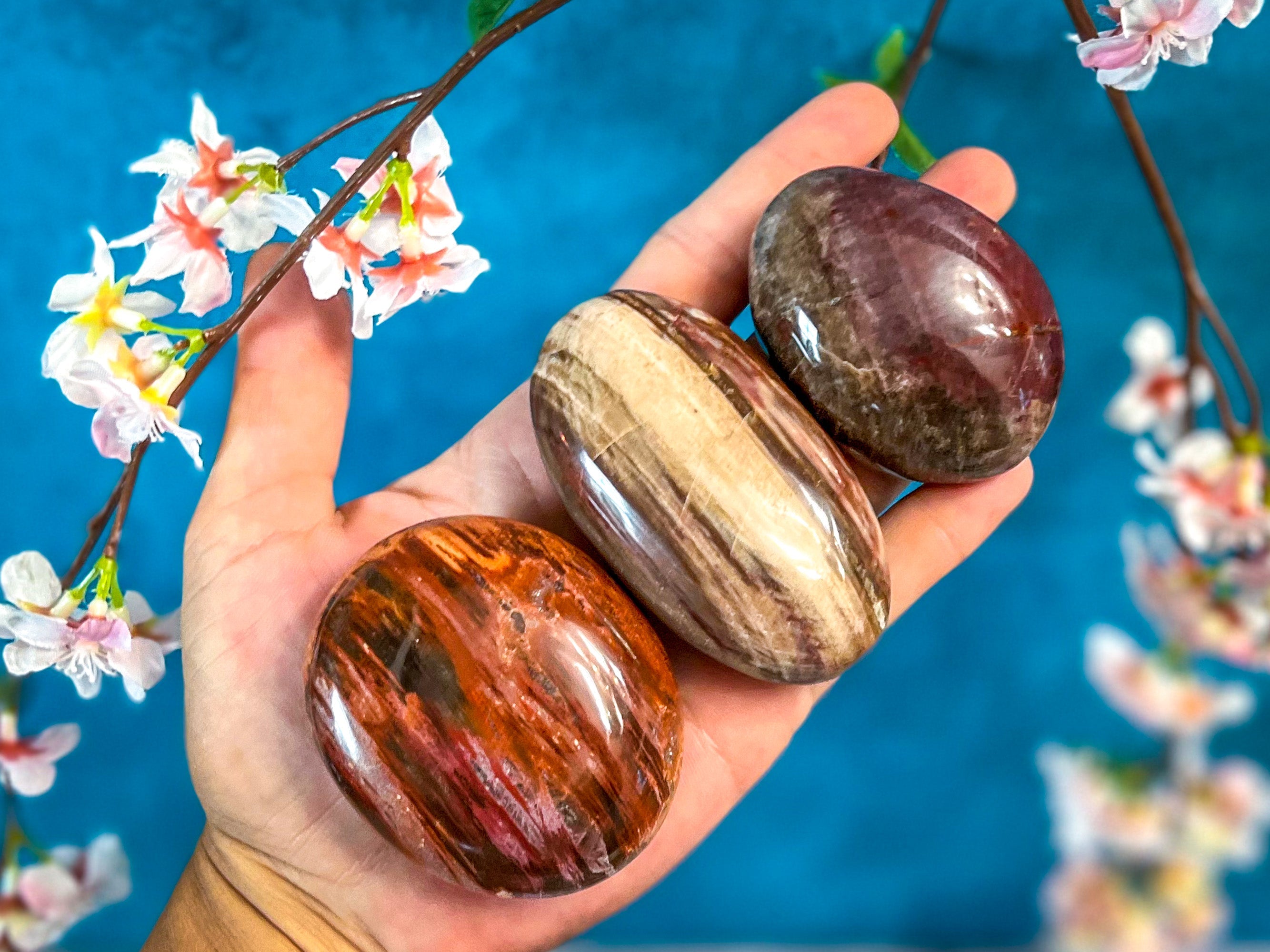 Petrified Wood Palm Stone | | Wiccan Center