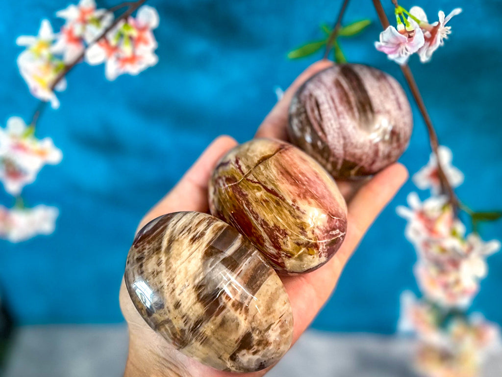 Petrified Wood Palm Stone | | Wiccan Center