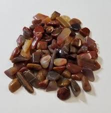Petrified Wood Chips 2oz | Chips | Wiccan Center