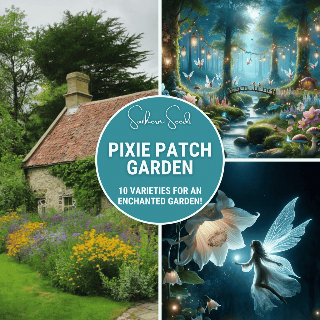 Pixie Patch Seed Collection – 10 Enchanted Varieties | Seeds | Wiccan Center