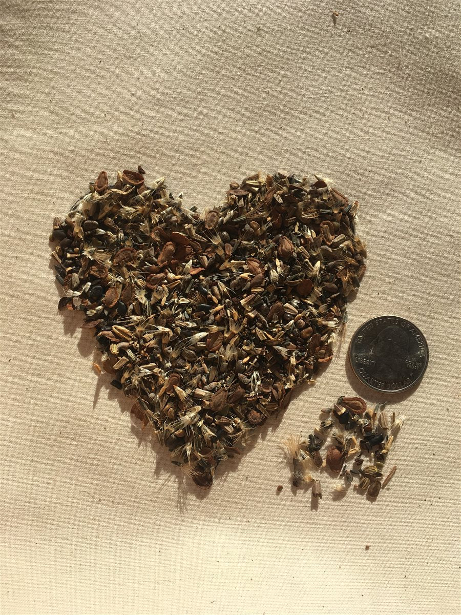 Pollinator Paradise Native Mix | | Wiccan Center