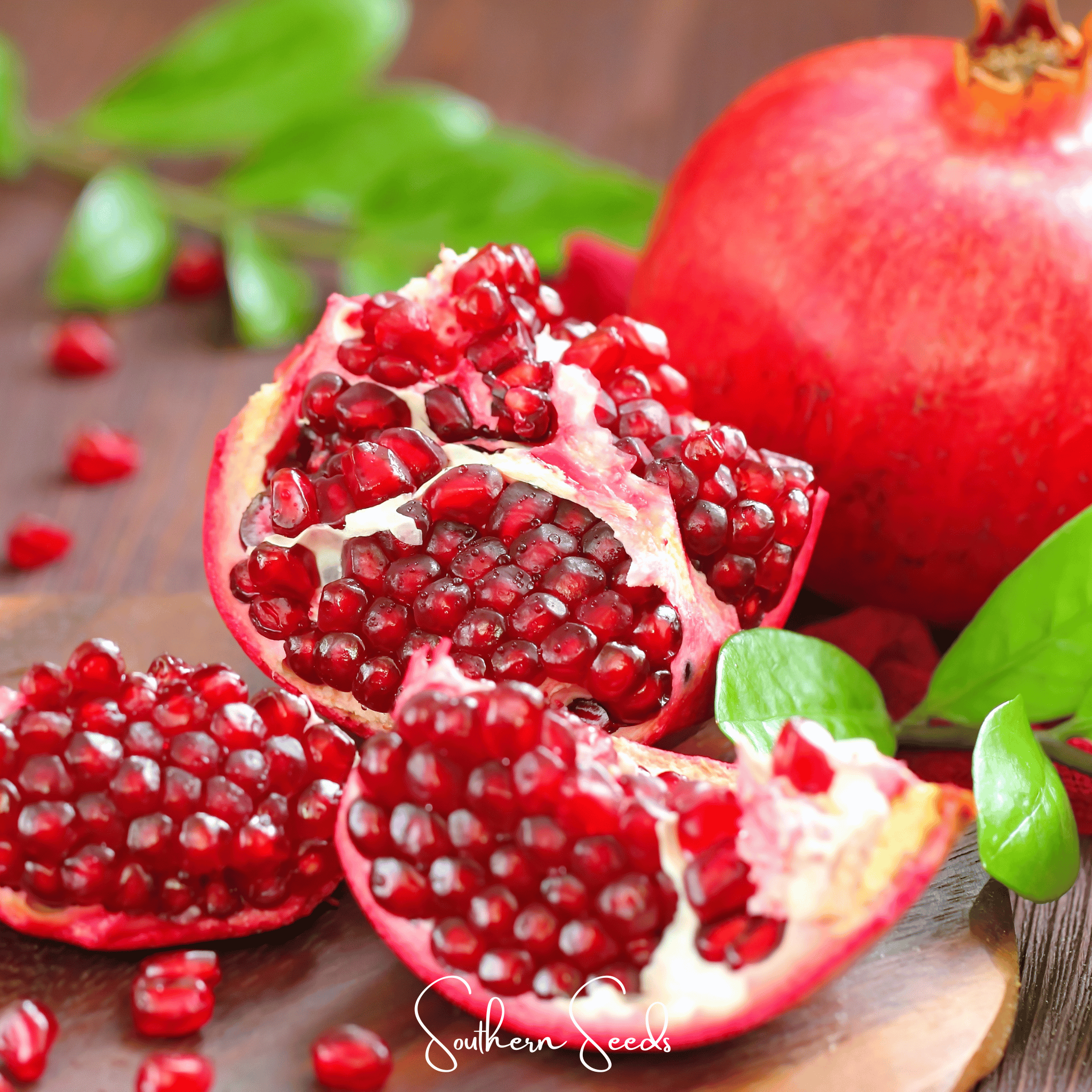 Pomegranate – 20 Seeds | Seeds | Wiccan Center