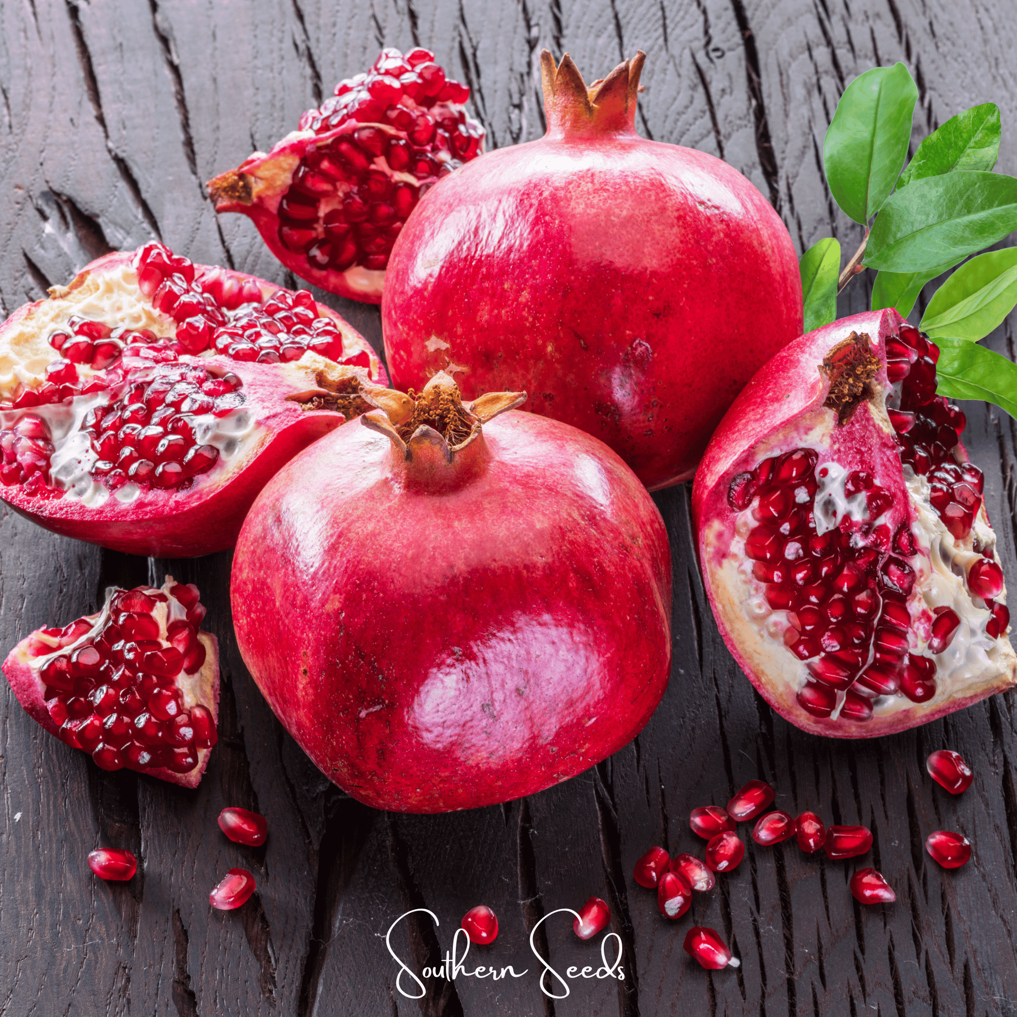 Pomegranate – 20 Seeds | Seeds | Wiccan Center