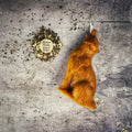 Beeswax Howling Wolf Spell Candle - Courage & Authentic Voice Magic | Beeswax Candle | Wiccan Center