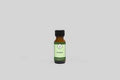 Pumpkin Fragrance Oil 1/2oz | Oil | Wiccan Center