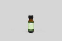 Pumpkin Fragrance Oil 1/2oz | Oil | Wiccan Center