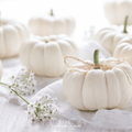Gooligan Pumpkin – 10 Seeds | Seeds | Wiccan Center