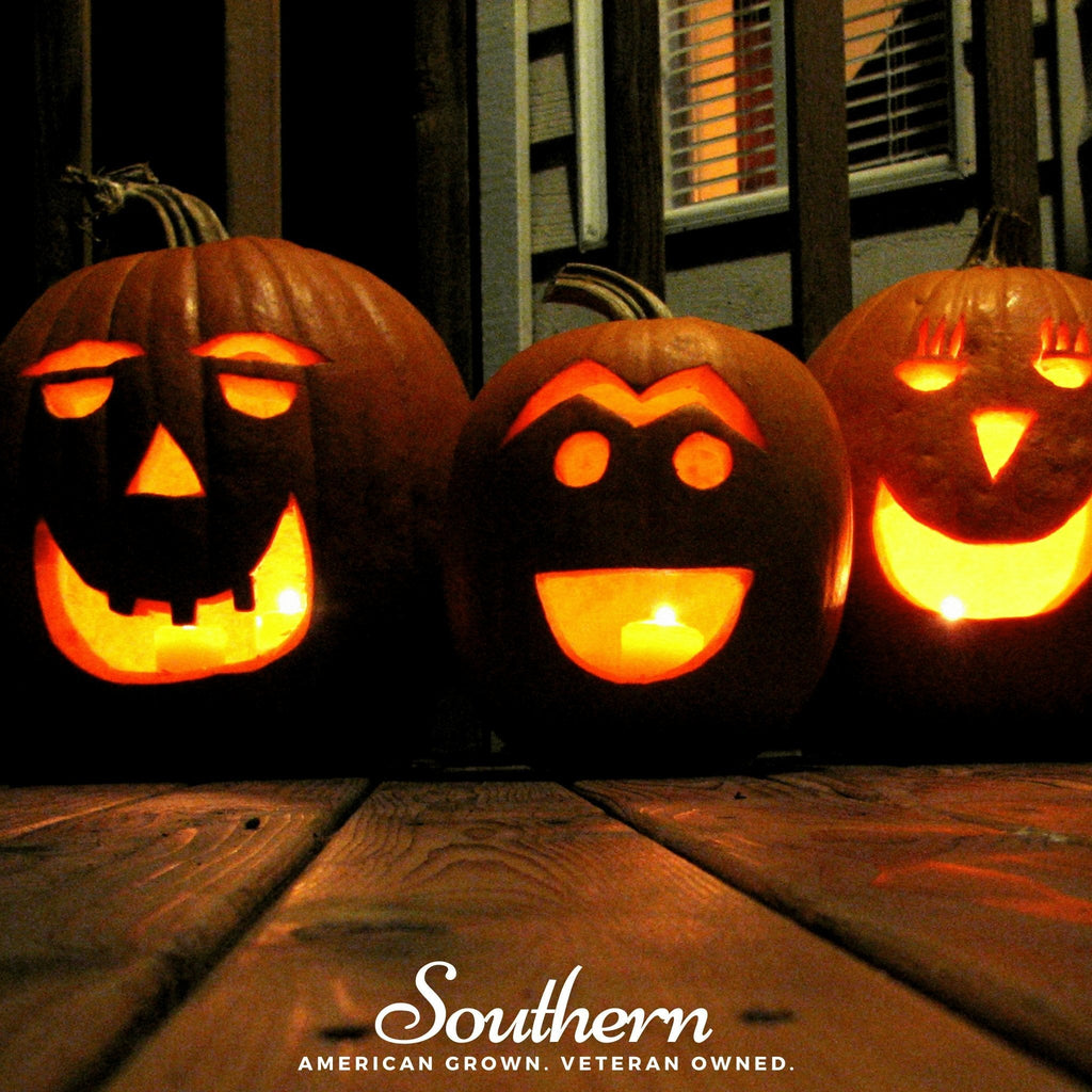 Jack O Lantern Pumpkin – 20 Seeds | | Wiccan Center