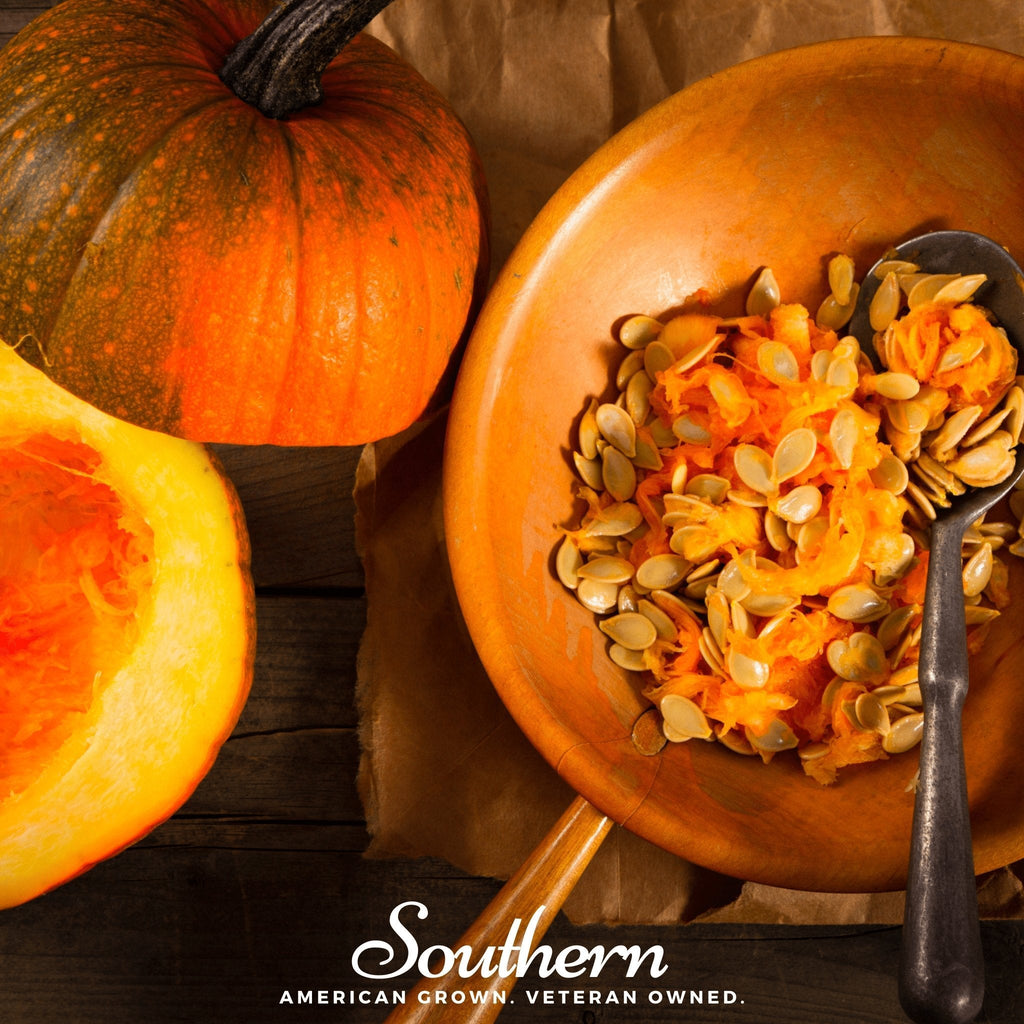Small Sugar Pumpkin – 15 Seeds | | Wiccan Center