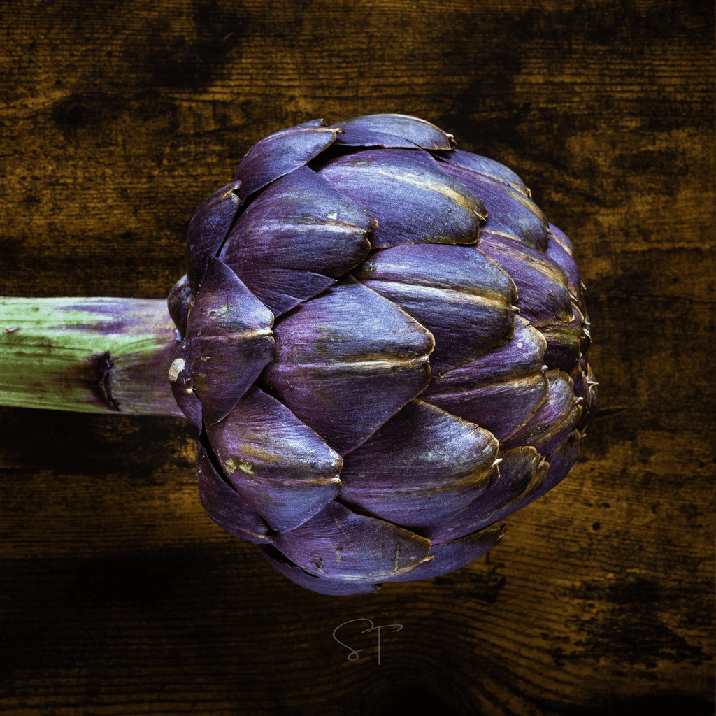 Purple Romagna Artichoke – 25 Seeds | Seeds | Wiccan Center