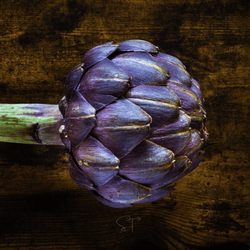 Purple Romagna Artichoke – 25 Seeds | Seeds | Wiccan Center