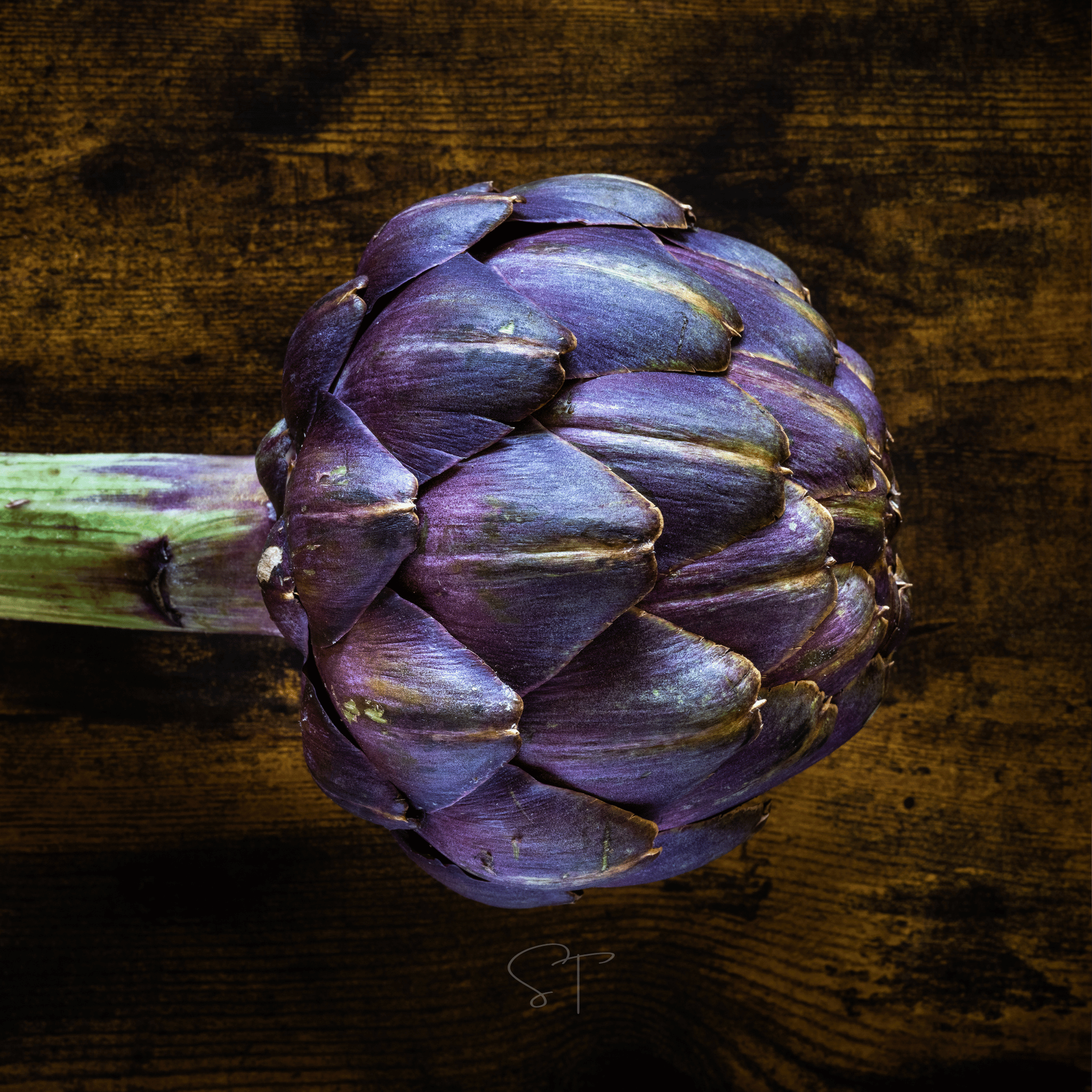 Purple Romagna Artichoke – 25 Seeds | Seeds | Wiccan Center